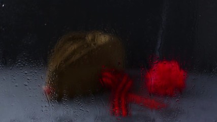 Forage, garisson cap of World War II soldier with red star,carnation flower, St. George ribbon. Memory of 75 years of victory day on May 9 of the Soviet Union in Great Patriotic War. Dark background