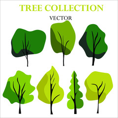 Green deciduous forest collection vector.
