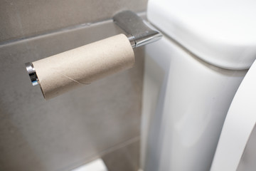 Empty toilet paper roll
