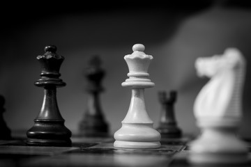Scacchi fotografati su una scacchiera