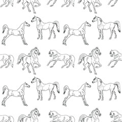 seamless background of pen-drawn horses on a white  background, pattern of isolated drawings