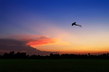 Kite flying in the sunset