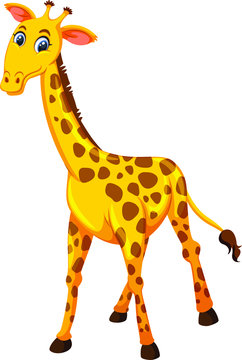  Illustration of giraffe with white background vector