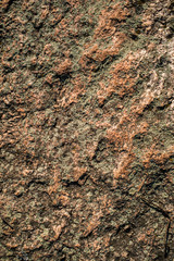 The texture of the ancient large rock