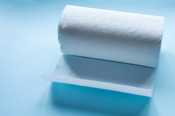 roll of towel paper
