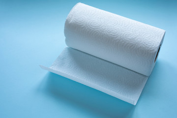 roll of towel paper