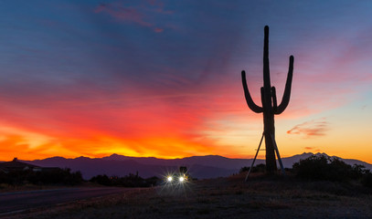 Silhouette of  Saguars Cactus At Sunrise In Arizona