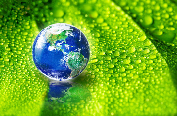 Naklejki  Ziemia na zielonym liściu z kroplami wody w miękkim świetle słonecznym, świat potrzebuje koncepcji odświeżenia i koncepcji ochrony środowiska, elementy tego obrazu dostarczone przez Nasa