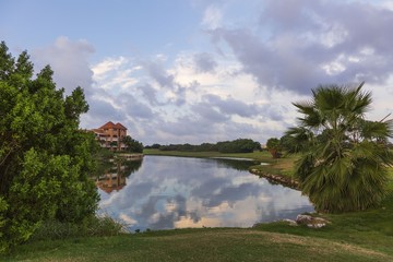 Amazing landscape with green palm tree near a lake on blue sky background. Aruba island.  Beautiful backgrounds.