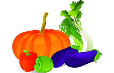 Illustration of vegetables, with white background vector