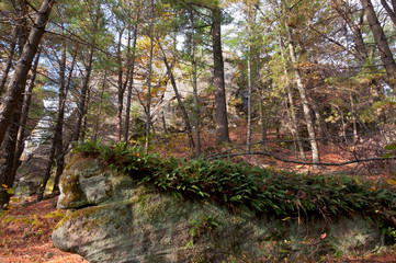 Obraz premium Rugged Landscape of Petenwell Bluff
