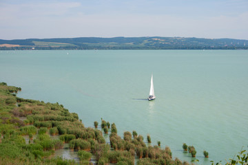Lake Balaton with reed and a lonely sailboat on water near to Tihany in Hungary
