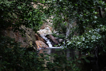 waterfall in the woods