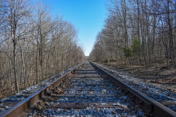 railway in the forest