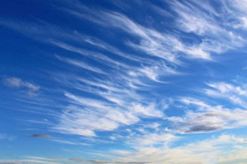 Beautiful sky in windy weather, background