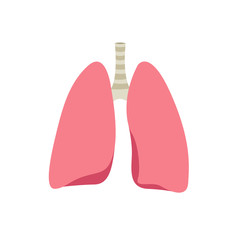 human lungs flat icon, vector illustration