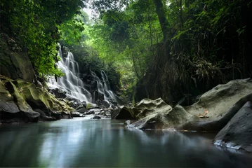 Foto op Canvas Kanto Lampo waterfall, Bali, Indonesia © Em Campos