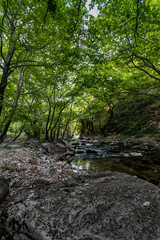 Trikala arched Bridge
