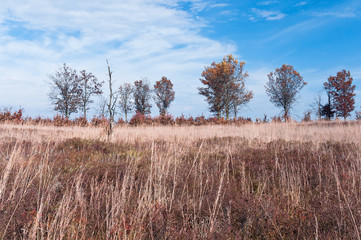 Prairie and savanna autumn landscape