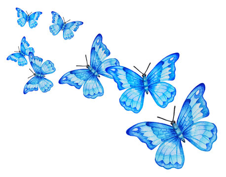  Blue butterflies fly one after another on a white background.  Watercolor illustration.  Hand drawn.