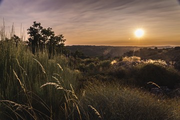 spanish fields summer vistas in spain