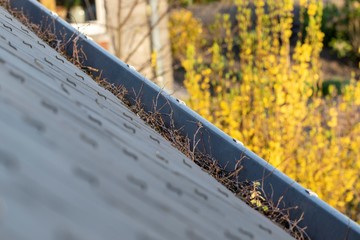 A portrait of a gutter full of twigs and leaves during fall. It needs to be cleaned else it will...