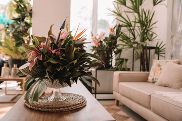 Decoracion de sala de estar con plantas y frutas, estilo moderno y fresco.