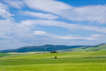 Green fields and windmills of Kintyre peninsula, Scotland