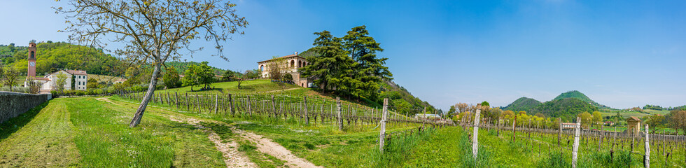 Fototapeta na wymiar Villa dei Vescovi in Luvigliano