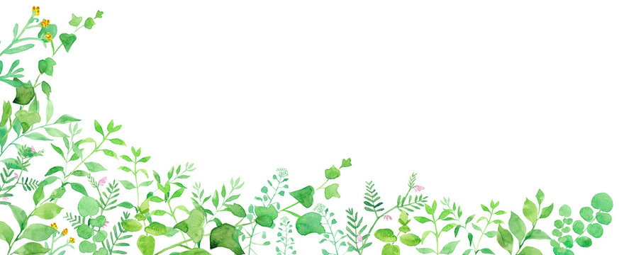 グリーンの草花の横長装飾フレーム　水彩イラスト