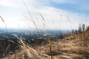 Obraz premium Gersten und Weizen am Wanderweg mit weitem Blick