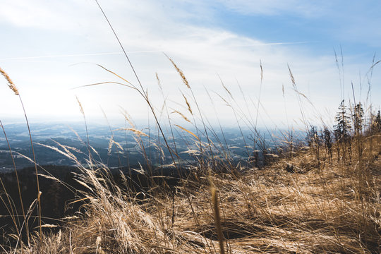 Gersten und Weizen am Wanderweg mit weitem Blick