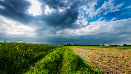 A moment before storm on farmlands. 