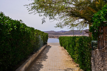 Sharm el Sheikh, Egypt, sea, beautiful, palms
