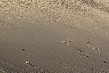 rain, raindrops on the pavement in a spray of water and the reflection of light in water