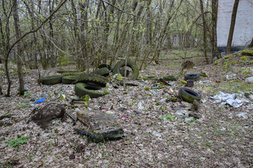 old wheel cars located in forest