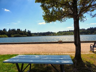 bench in the park