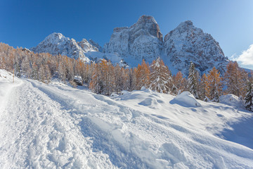 Fototapeta na wymiar Snowy path with Mount Pelmo northern side and larch forest in the background, Dolomites, Italy. Concept: winter landscapes, Christmas atmosphere, winter travel, calm and serenity