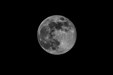 Obraz premium full moon in the night