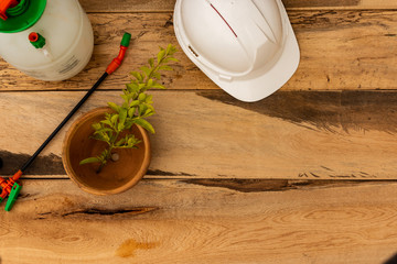 Manual sprayer with white safety helmet for engineering and flowerpot on wooden background. Topical garden and home: concept professional services of fumigation and ferlization of plants and flowers