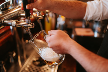 
A man in a cafe pours beer from the machine. Alcohol and a glass