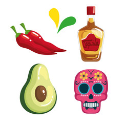 set icons traditional of cinco de mayo vector illustration design