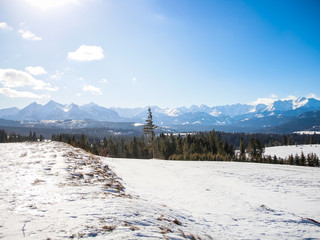 winter landscape in the mountains, tatry