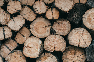 Firewood for the winter, stacks of firewood, pile of firewood.