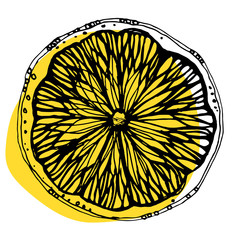 Sketched citrus fruits