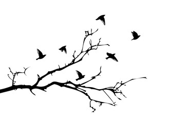 A tree branch without leaves with flying birds. Vector illustration