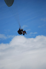 Naklejka na ściany i meble beautiful summer day for paragliding, a great experience