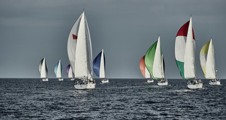 Fototapeta premium Sailboats compete in a sailing regatta at sunset, sailing race, reflection of sails on water, multi-colored spinaker, boat number aft boats, big white clouds,