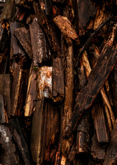 Texture of dark and split wet logs