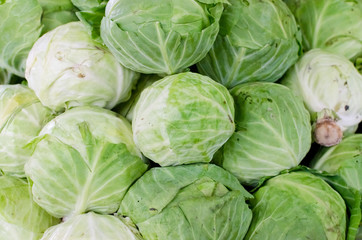 Pile of cabbages in a flat lay view